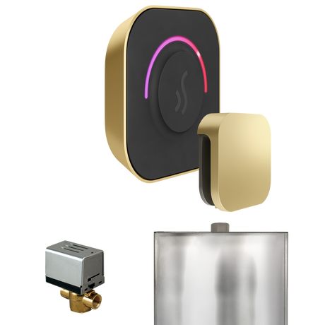 Mr. Steam ButlerTouch Steam Shower Control Package with TempoTouch Control and Steamhead Mr. Steam