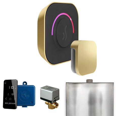 Mr. Steam ButlerTouch Steam Shower Control Package with TempoTouch Control and Steamhead