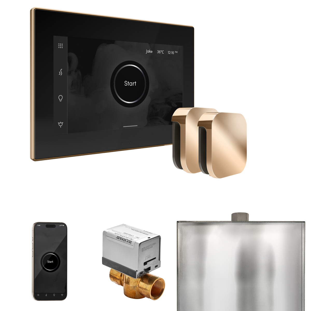 Mr. Steam XButler Steam Shower Control Package with iSteamX Control and Steamhead Mr. Steam