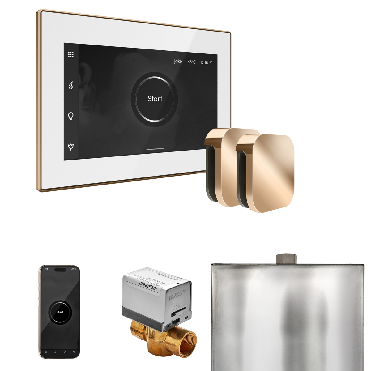 Mr. Steam XButler Steam Shower Control Package with iSteamX Control and Steamhead Mr. Steam