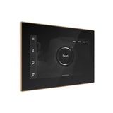 Mr. Steam iSteamX Steam Shower Control and Steamhead
