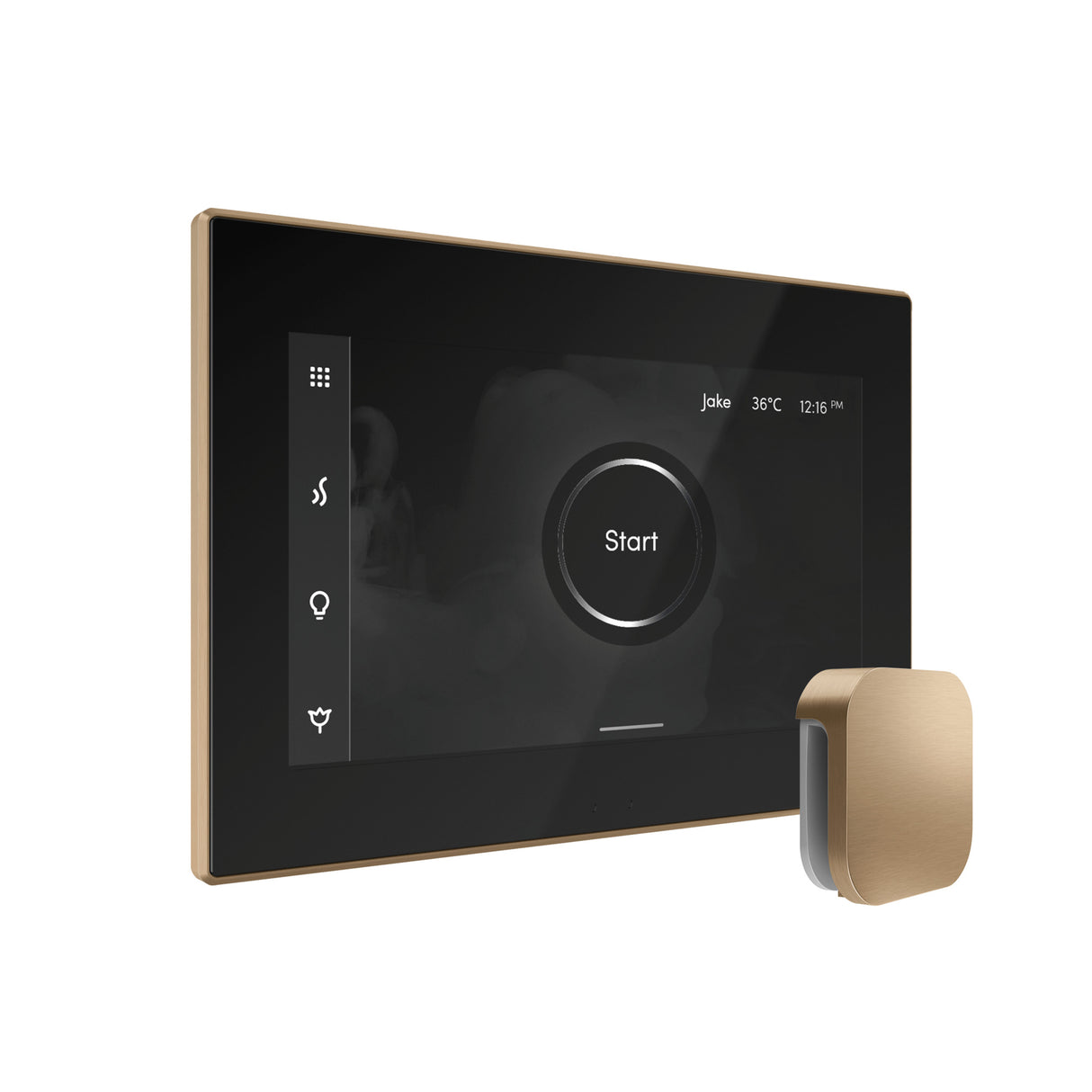 Mr. Steam iSteamX Steam Shower Control and Steamhead