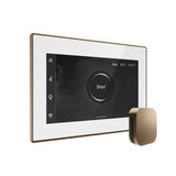 Mr. Steam iSteamX Steam Shower Control and Steamhead