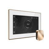 Mr. Steam iSteamX Steam Shower Control and Steamhead