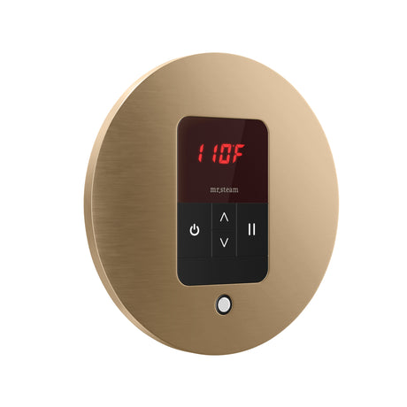 Mr. Steam iTempo Round Steam Shower Control and Steamhead