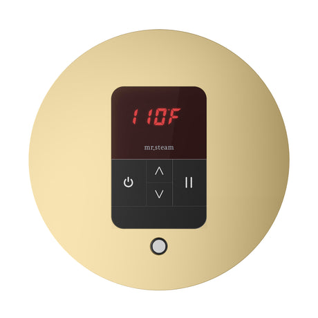 Mr. Steam iTempo Round Steam Shower Control and Steamhead