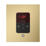 Mr. Steam iTempo Square Steam Shower Control and Steamhead