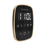 Mr. Steam TempoFlex Steam Shower Control and Steamhead