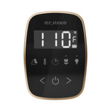 Mr. Steam TempoFlex Steam Shower Control and Steamhead