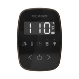 Mr. Steam TempoFlex Steam Shower Control and Steamhead