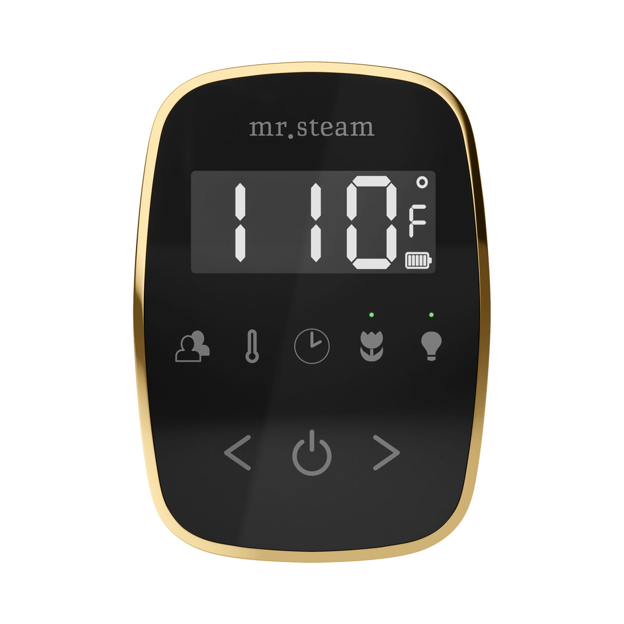 Mr. Steam TempoFlex Steam Shower Control and Steamhead