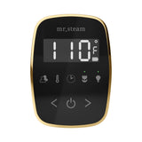 Mr. Steam TempoFlex Steam Shower Control and Steamhead