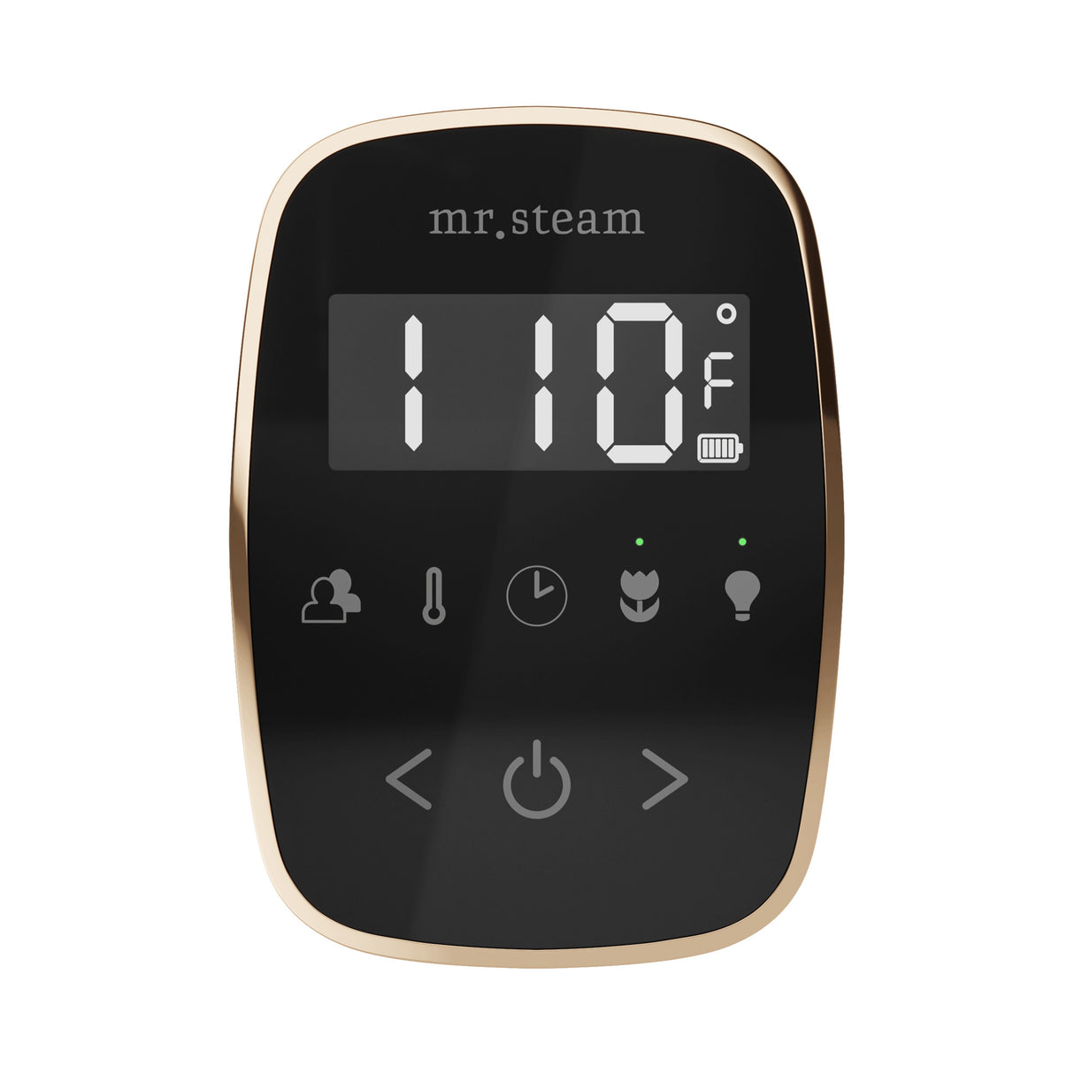 Mr. Steam TempoFlex Steam Shower Control and Steamhead