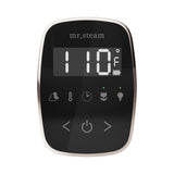 Mr. Steam TempoFlex Steam Shower Control and Steamhead