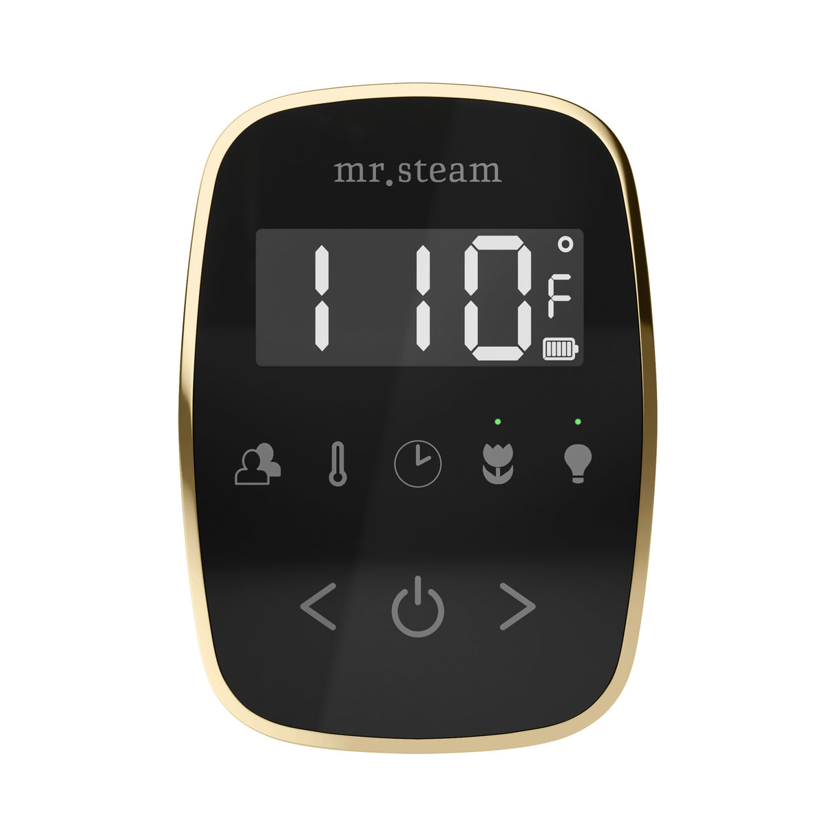 Mr. Steam TempoFlex Steam Shower Control and Steamhead