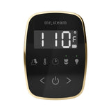 Mr. Steam TempoFlex Steam Shower Control and Steamhead