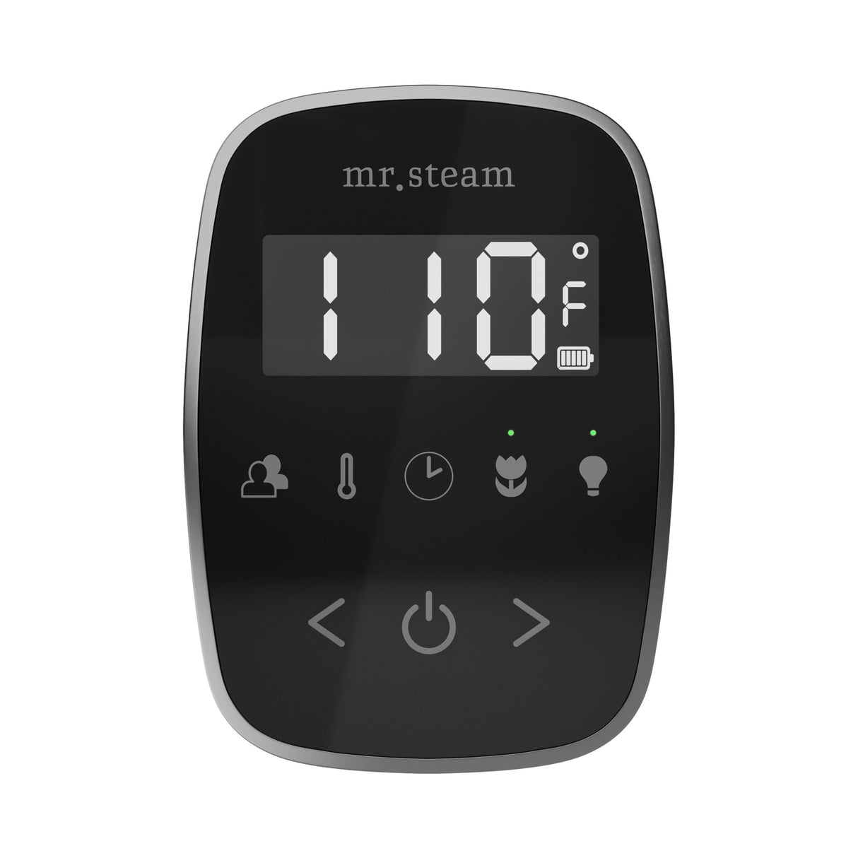 Mr. Steam TempoFlex Steam Shower Control and Steamhead
