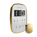 Mr. Steam TempoFlex Steam Shower Control and Steamhead