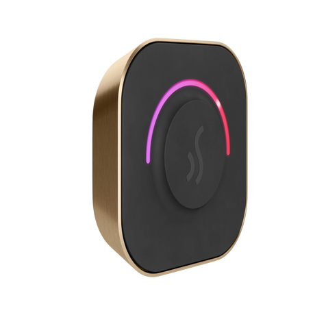 Mr. Steam TempoTouch Steam Shower Control and Steamhead