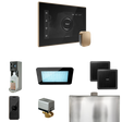 Mr. Steam XDream Steam Shower Control Package with iSteamX Control and Steamhead Mr. Steam