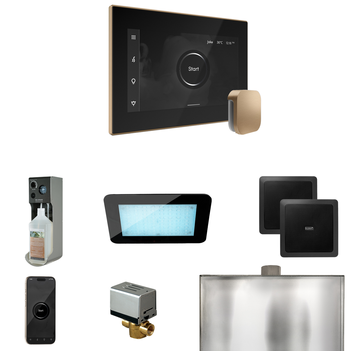 Mr. Steam XDream Steam Shower Control Package with iSteamX Control and Steamhead Mr. Steam