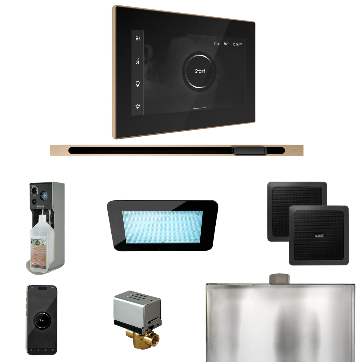 Mr. Steam XDream Steam Shower Control Package with iSteamX Control and Linear Steamhead Mr. Steam