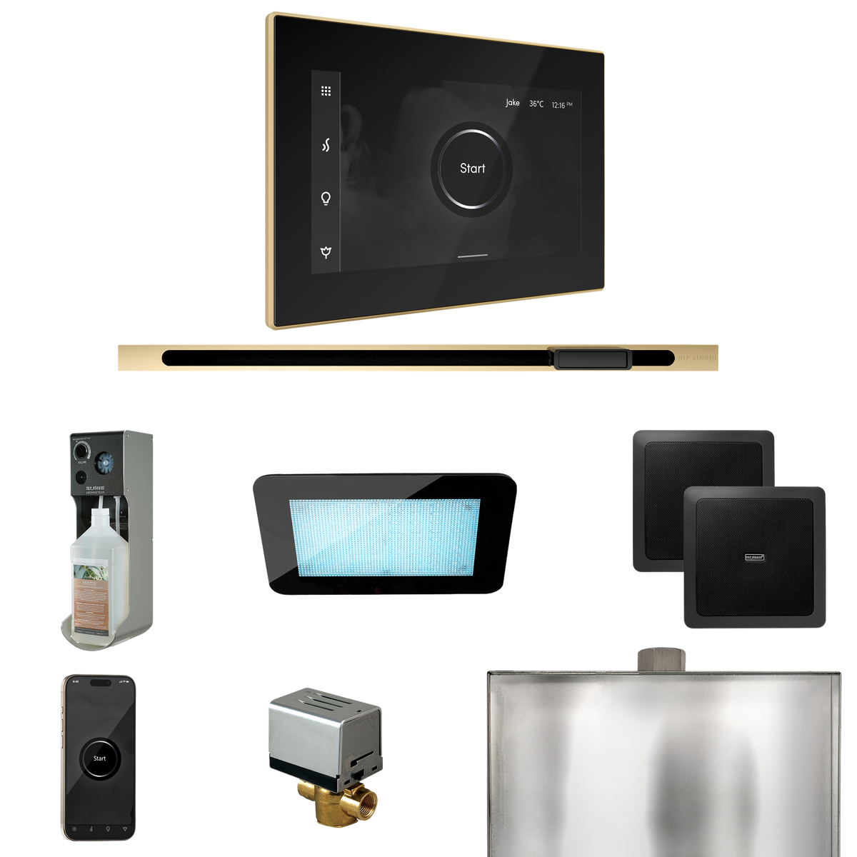 Mr. Steam XDream Steam Shower Control Package with iSteamX Control and Linear Steamhead Mr. Steam