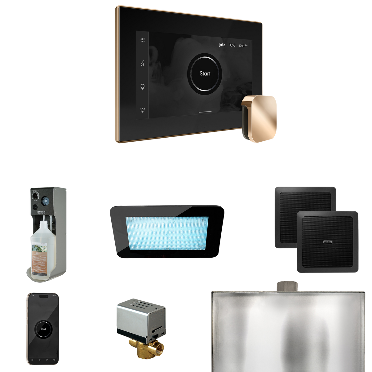 Mr. Steam XDream Steam Shower Control Package with iSteamX Control and Steamhead Mr. Steam