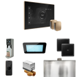 Mr. Steam XDream Max Steam Shower Control Package with iSteamX Control and Steamhead Mr. Steam