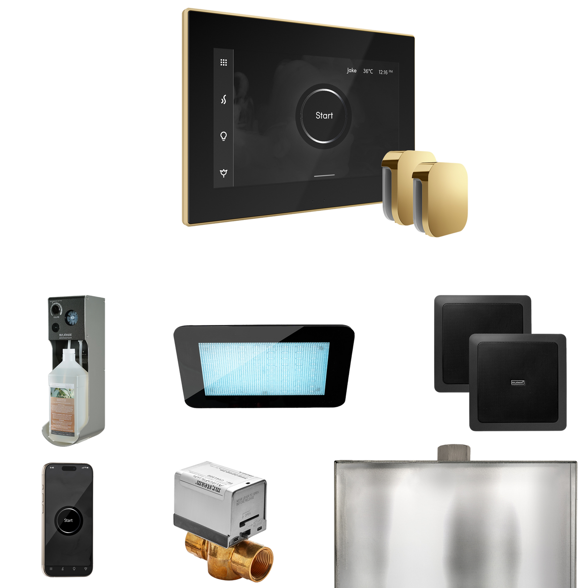 Mr. Steam XDream Max Steam Shower Control Package with iSteamX Control and Steamhead Mr. Steam