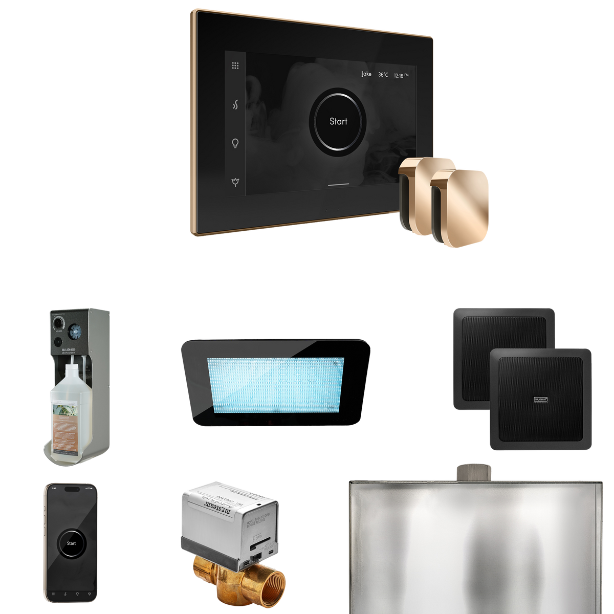 Mr. Steam XDream Max Steam Shower Control Package with iSteamX Control and Steamhead Mr. Steam
