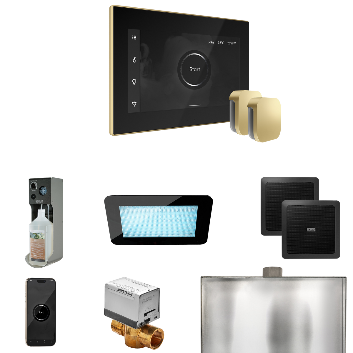 Mr. Steam XDream Max Steam Shower Control Package with iSteamX Control and Steamhead Mr. Steam