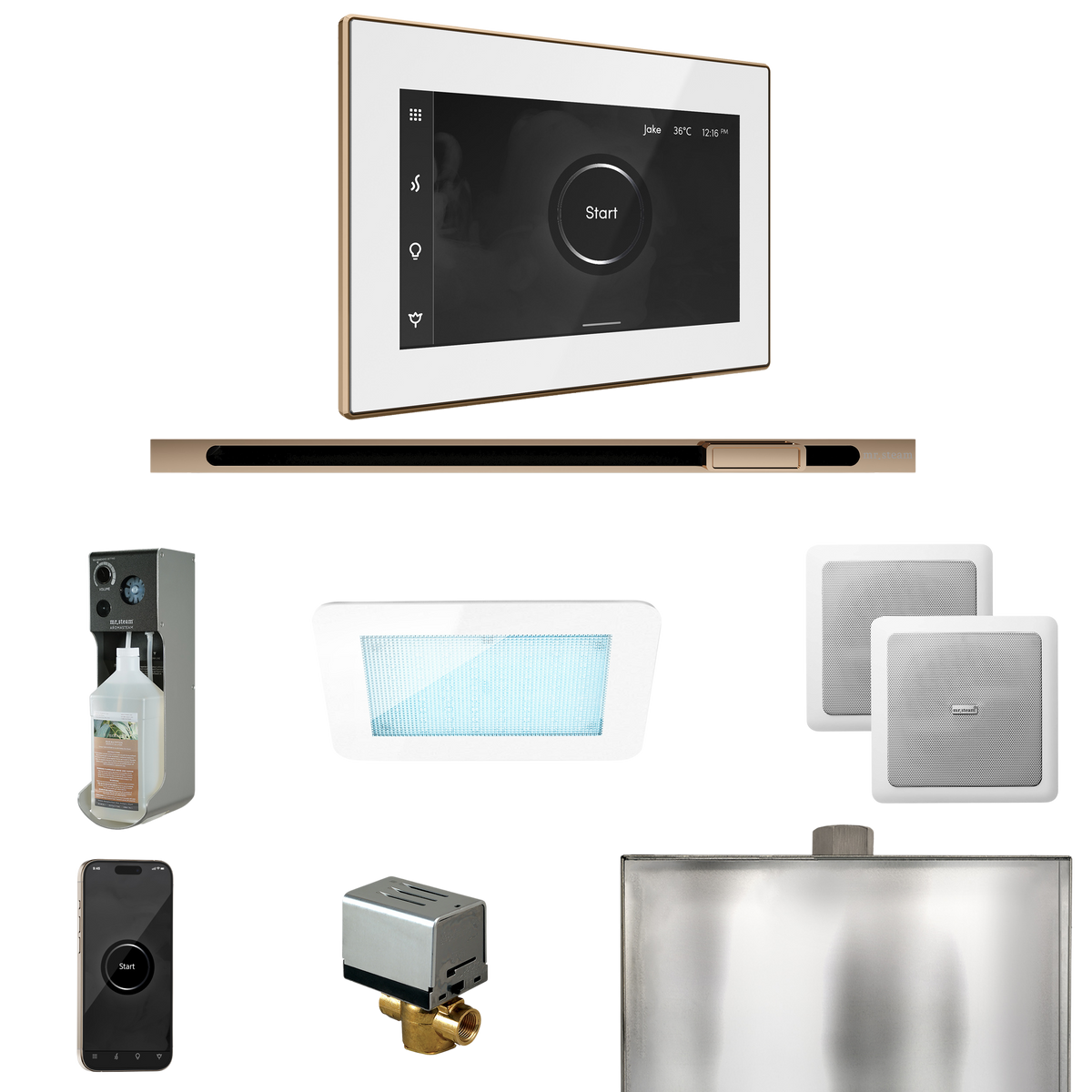 Mr. Steam XDream Steam Shower Control Package with iSteamX Control and Linear Steamhead Mr. Steam