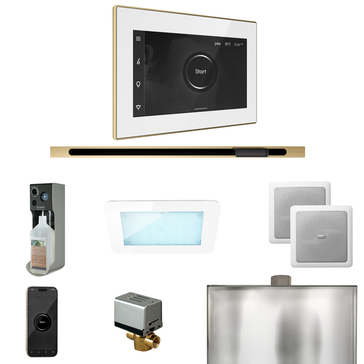 Mr. Steam XDream Steam Shower Control Package with iSteamX Control and Linear Steamhead Mr. Steam