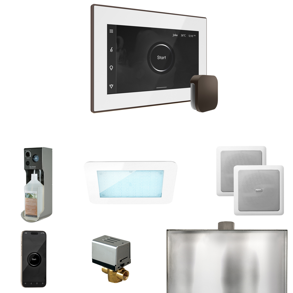 Mr. Steam XDream Steam Shower Control Package with iSteamX Control and Steamhead Mr. Steam