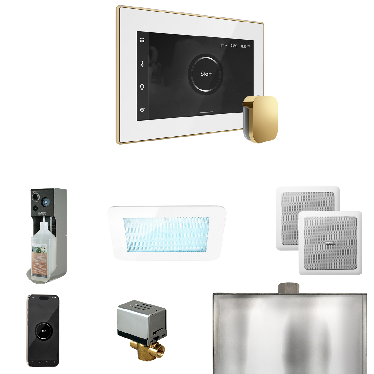 Mr. Steam XDream Steam Shower Control Package with iSteamX Control and Steamhead Mr. Steam
