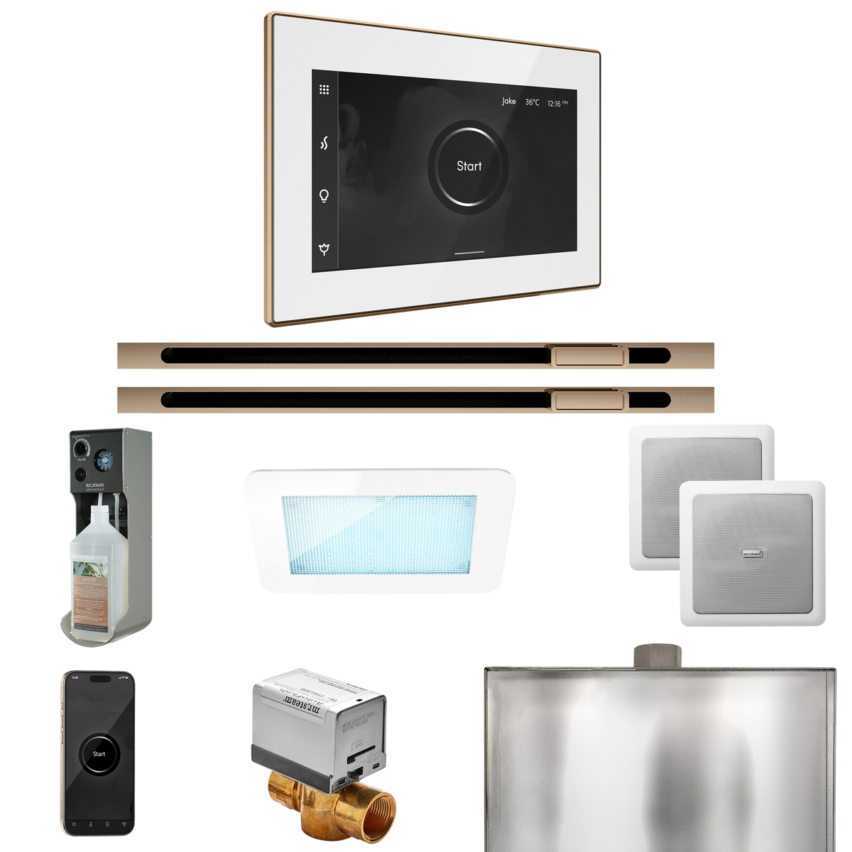 Mr. Steam XDream Max Steam Shower Control Package with iSteamX Control and Linear Steamhead Mr. Steam