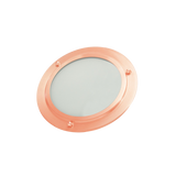 ThermaSol SL Shower Light ThermaSol