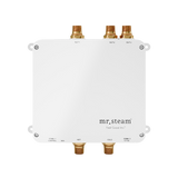Mr. Steam SPAH2O Electronic Shower Valve