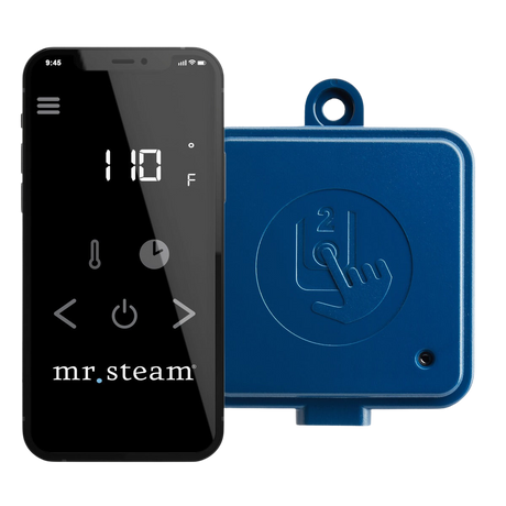 Mr. Steam STEAMLINX Wifi Module