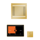 ThermaSol WH14STP10S Wellness Steam Package - HydroVive 14 Rainhead + ThermaTouch2 10" Control + SteamVection Square Steam Head ThermaSol